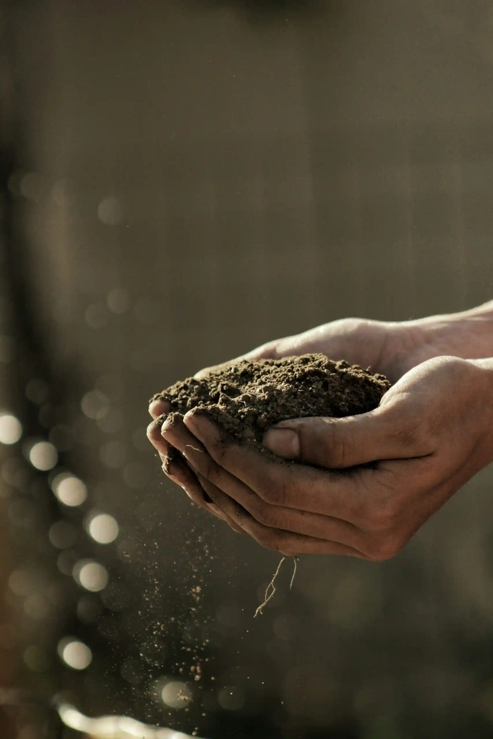 Hands holding soil, symbolizing sustainable composting solutions and agricultural practices, relevant to Captyx's focus on high-quality composters for waste management.