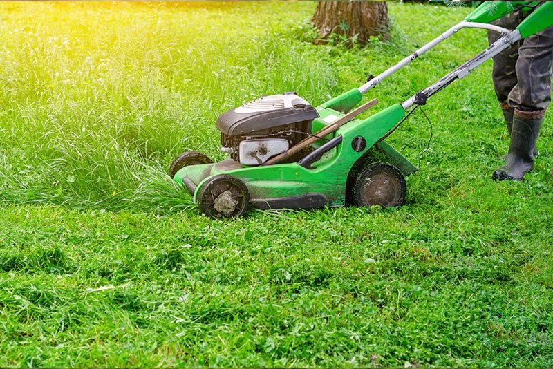 Lawn mower cutting grass in a lush green yard, illustrating landscaping and lawn care services relevant to business acquisition in the Mountain West.