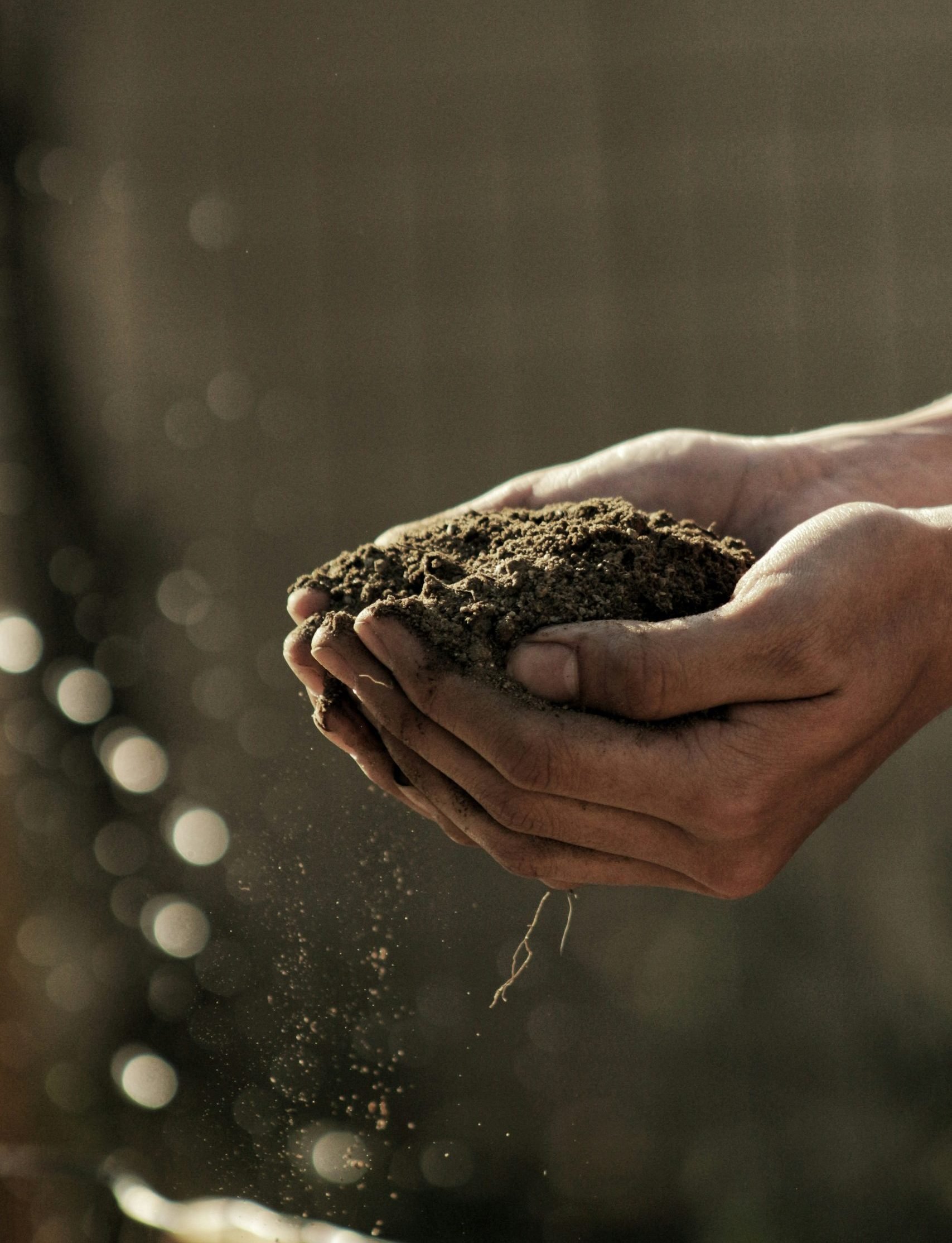 Hands holding soil, emphasizing agricultural value and land quality, relevant to selling agricultural businesses and assessing true asset worth.